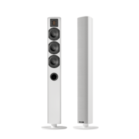 Piega usa Ace 50 Floorstanding Speakers [Pair] variant 13