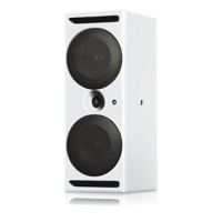 PSI Audio A214-M – Powerful center speaker variant 4