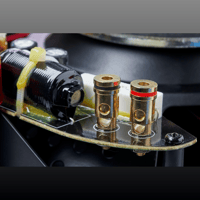 MartinLogan IC8-AW variant 9