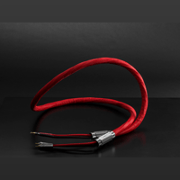 Omega Audio Concepts The Element variant 1