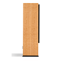 ATC SCM200ASLT variant 4