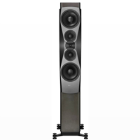 Dynaudio Confidence 60 variant 6