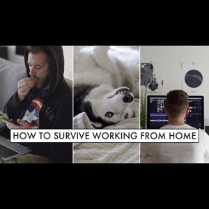 Thumbnail of the video review https://www.youtube.com/watch?v=abHIJFOx3HM