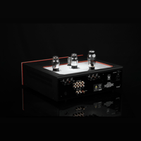 SW1x AMP III “Trinity” Integrated Amplifier variant 6