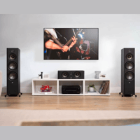 Denon Reserve R300 variant 7