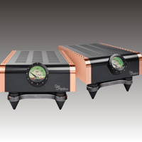 Dan D’Agostino Momentum M400 MxV Monoblock Amplifier variant 1