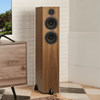 Totem Acoustic Bison Twin Tower variant 4