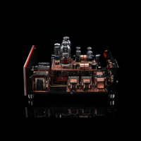 SW1x AMP V “Jupiter” Integrated Amplifier variant 8