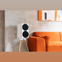 Buchardt Audio S400 MKII variant 14