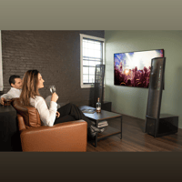 MartinLogan Impression  ESL 11A variant 42