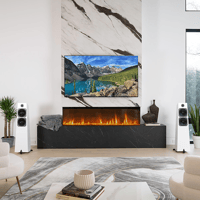 Totem Acoustic Element Metal V2 variant 9