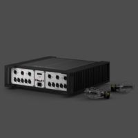 Ubiq AudioLab UBIQUITOUS 300B variant 5