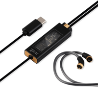 RAPTGO RAPTGO MR-10 Type-C Audio Cable: 0.78mm/2PIN, Advanced DAC Technology variant 1
