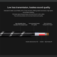 Cayin CS-30RCA variant 4