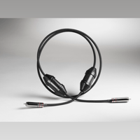 Shunyata Research SIGMA-X AES | S/PDIF | Clock variant 4