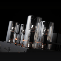 Allnic/ZL Technologies A-2000 mk3 variant 4