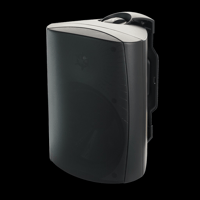 MartinLogan ML-55AW variant 19