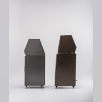 Wilson Audio The WATT/Puppy variant 21