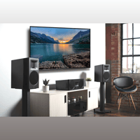 MartinLogan Motion XT B100 variant 1