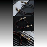 FiiO RCA digital audio coaxial line variant 10