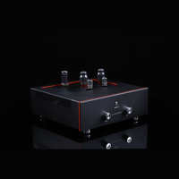 SW1x AMP II “Electra” Integrated Amplifier variant 2