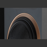 MartinLogan Motion XT F200 variant 2