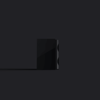 Perlisten S4b variant 4