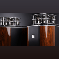 Fjord Audio Model P150 variant 2