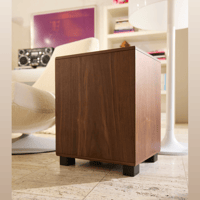 REL Acoustics Classic 99 variant 5