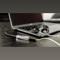 MiniDsp IL-DSP variant 3