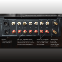 Backert Labs Rhumba Xphono 1.1 variant 6