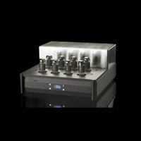 Doshi Evolution Stereo Amplifier variant 1