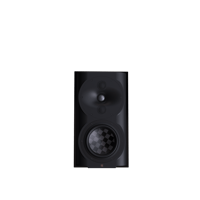 Perlisten S4b variant 1