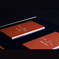 Merrill Audio ELEMENT 116MX Power Amplifier Monoblocks variant 5