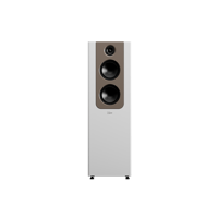 Lyngdorf Audio FR-2 variant 1