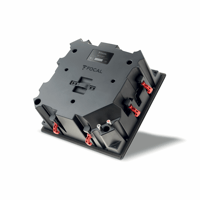 Focal 100 ICLCR5 variant 4