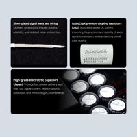 Cayin HA-6A MK2 variant 18