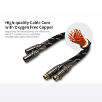 Cayin CS6-XLR variant 3