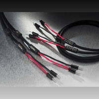 Esprit Audio Alpha Loudspeaker connection variant 1