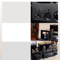 Cayin HA-300MK2 variant 7