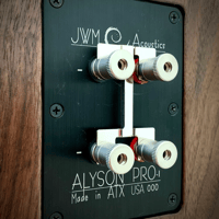 JWM Acoustics ALYSON PRO variant 8
