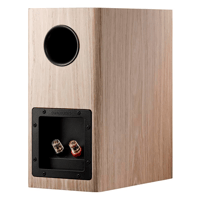 Dynaudio Evoke 10 variant 19