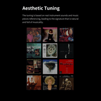 Aune aune S9c Pro DAC with Headphone Amp with AL3 XLR Balanced Male to Female 3-Pin Audio Cable 1 Pair variant 26