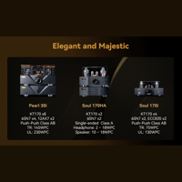 Cayin Soul 170HA variant 28