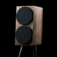 Buchardt Audio Anniversary 10 variant 5