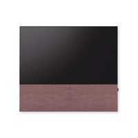 Canvas CANVAS front 65 variant 22