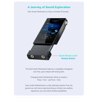 Cayin N6iii R202 variant 3