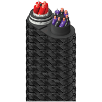 AudioQuest FireBird BASS variant 4