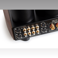 Mastersound Compact 300B variant 10