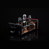 SW1x MPA III “Oracle” Mono Power Amplifier variant 7